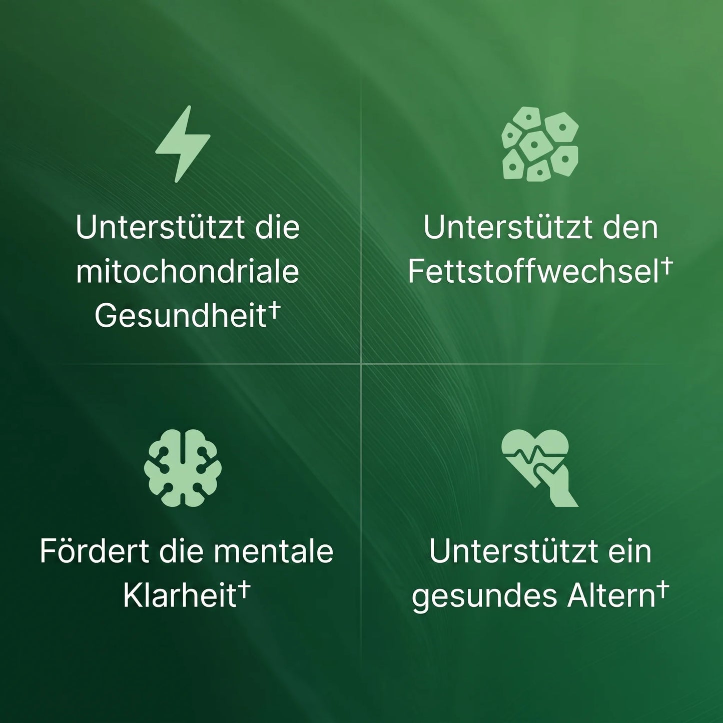 Amla Superfrucht Kapseln
