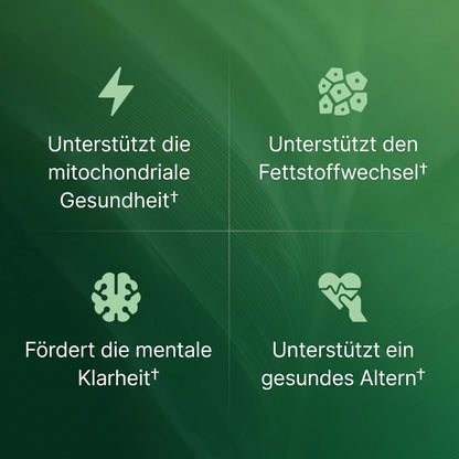 Amla Superfrucht Kapseln
